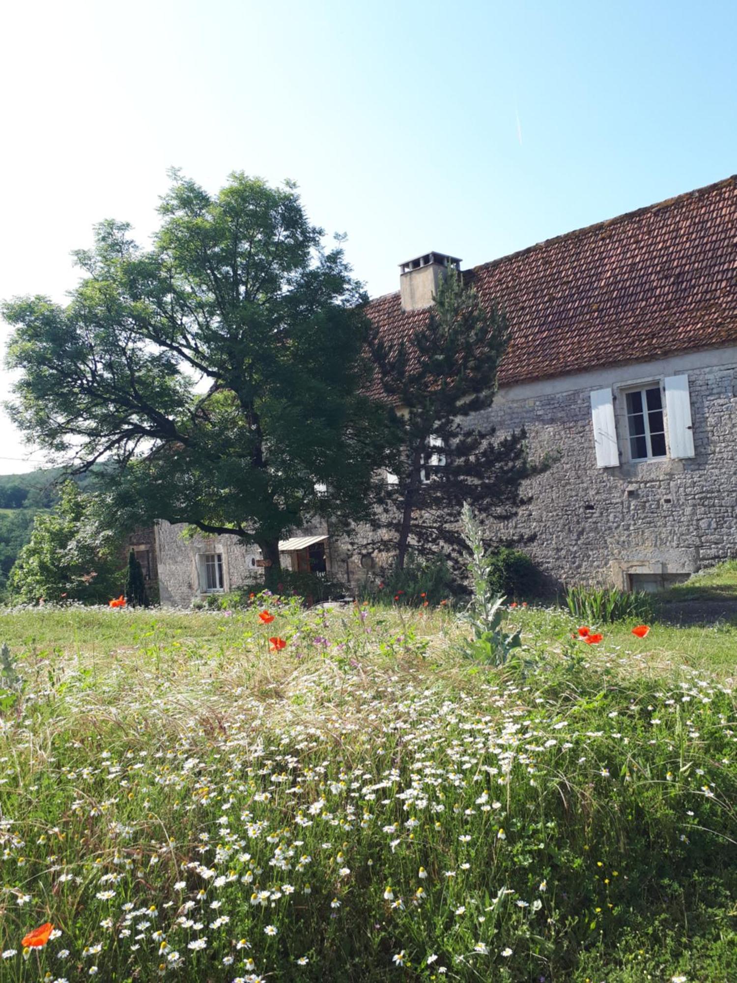فندق La Ferme De Roquedure Montfaucon  المظهر الخارجي الصورة