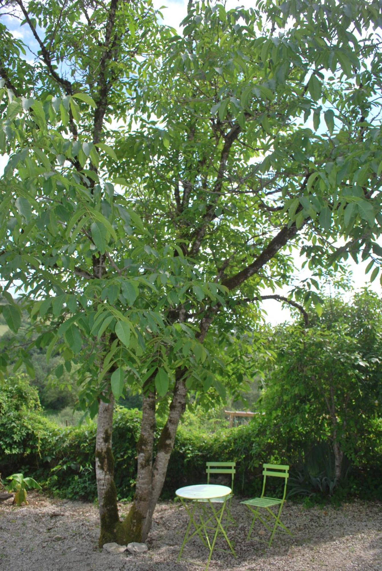 فندق La Ferme De Roquedure Montfaucon  المظهر الخارجي الصورة